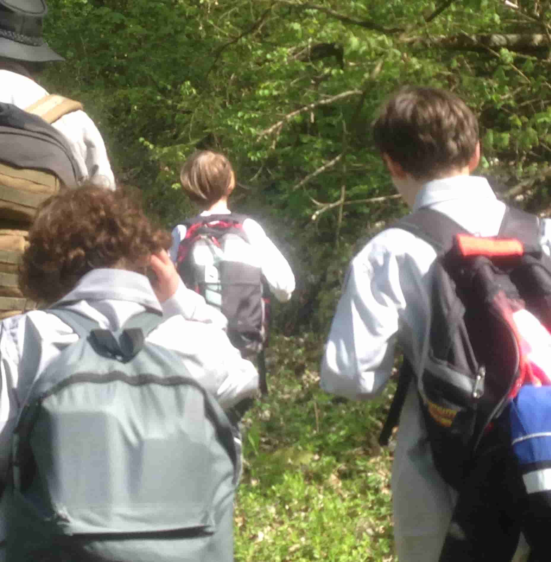 Dieses Bild ist zur Zeit auf Wanderschaft.