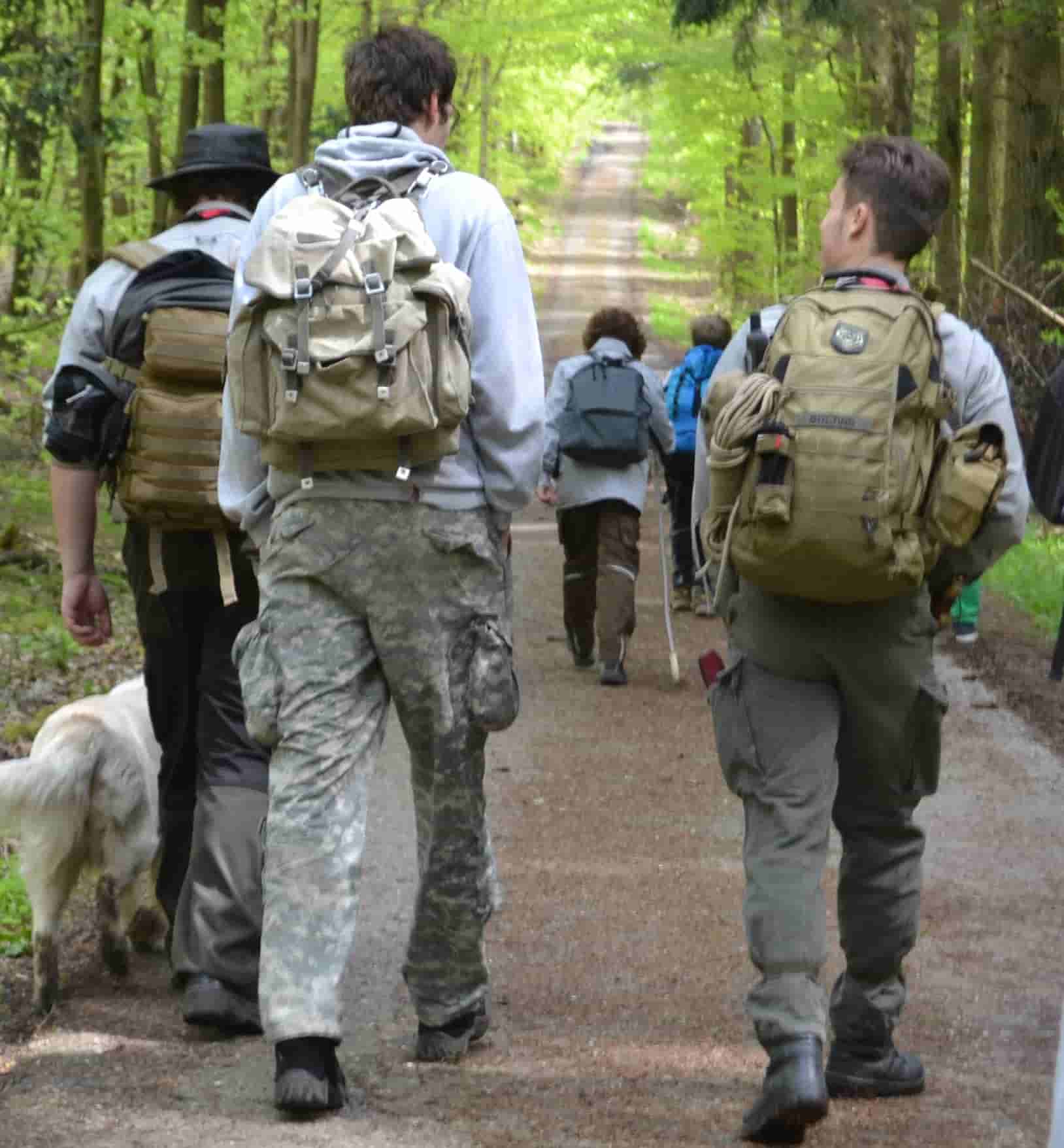 Dieses Bild ist zur Zeit auf Wanderschaft.