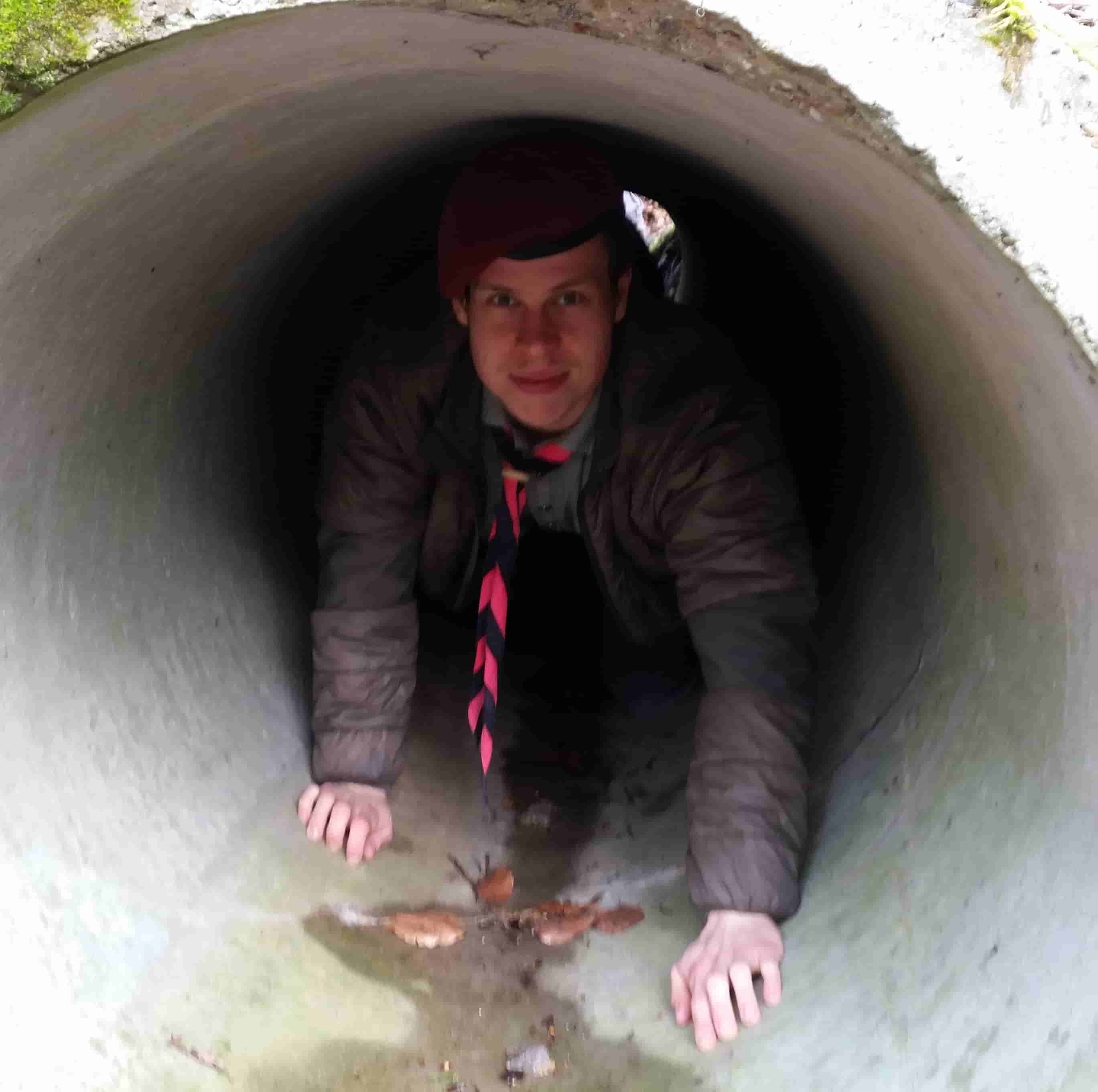 Dieses Bild ist zur Zeit auf Wanderschaft.